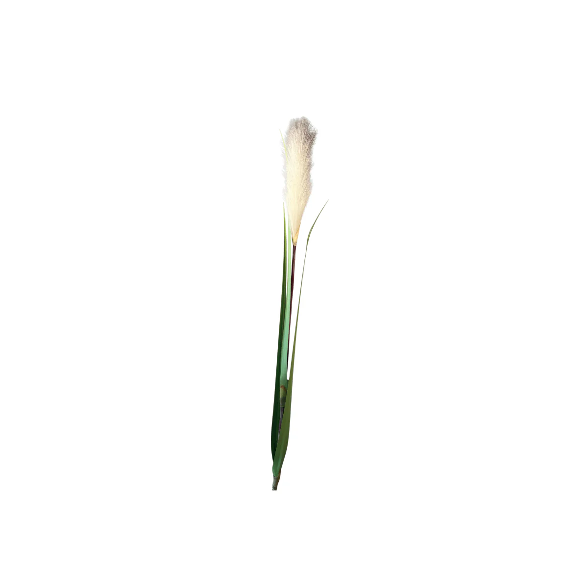 Produktbilde 2