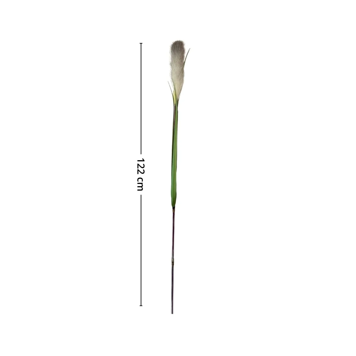 Produktbilde 3